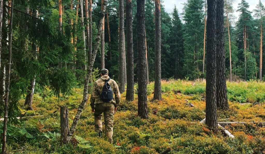 Päiväretkellä metsäpolulla kevyt reppu selässä